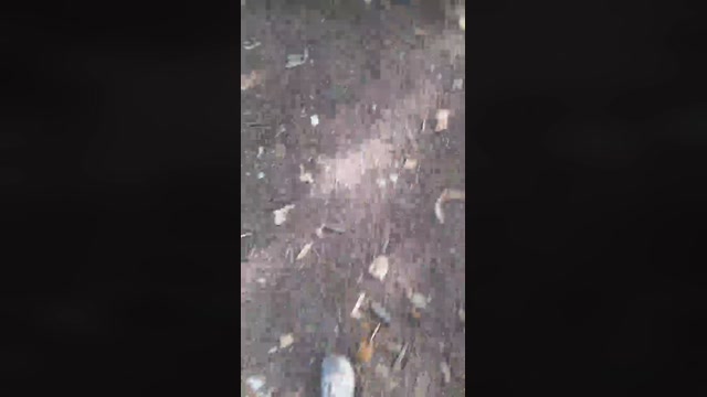 big_blackc  31-08-2022